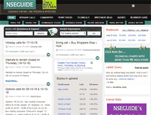 Tablet Screenshot of nseguide.com